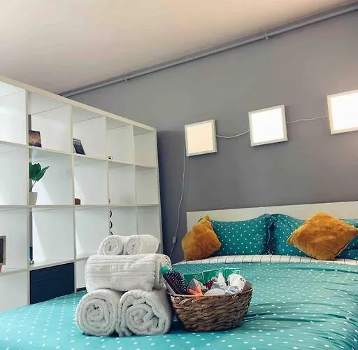 Cozy In 클루지나포카